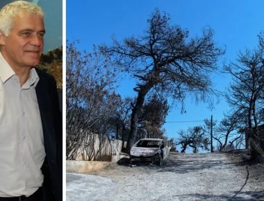 «Δεν σημαίνει ότι όποιος αναλαμβάνει την ευθύνη φταίει κιόλας» αναφέρει ο Γ.Τσιρώνης (βίντεο)